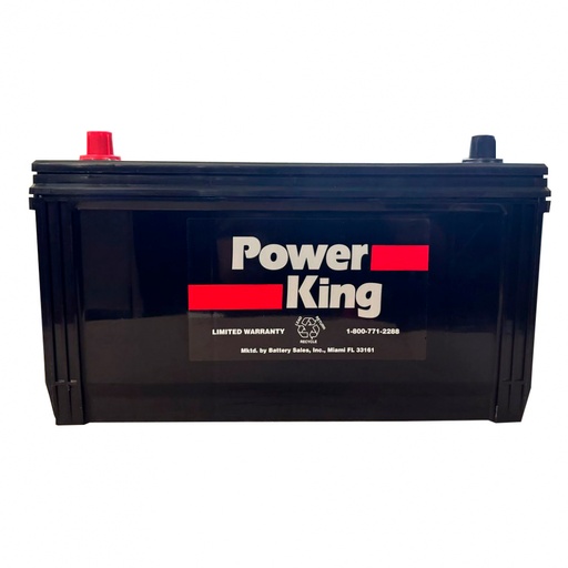 Batería automotriz de 12 V 100 Ah Power King